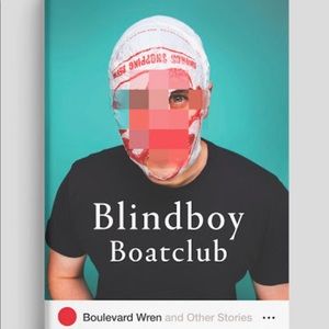 Blindboy Boatclubs book ☘️